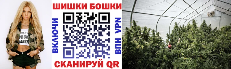 Псилоцибиновые грибы Славгород
