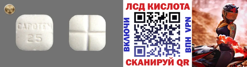 mega как зайти  Славгород  Лсд 25 экстази ecstasy 