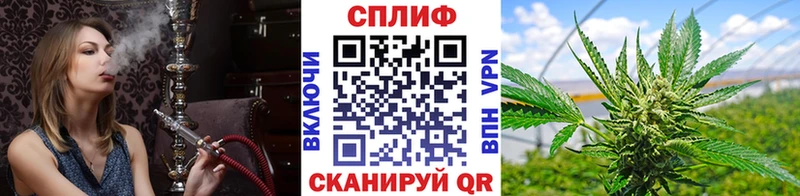 blacksprut как зайти  Славгород  Шишки марихуана семена 